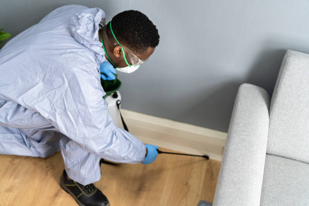 Best Pest Prevention Services  in Marshall, MO